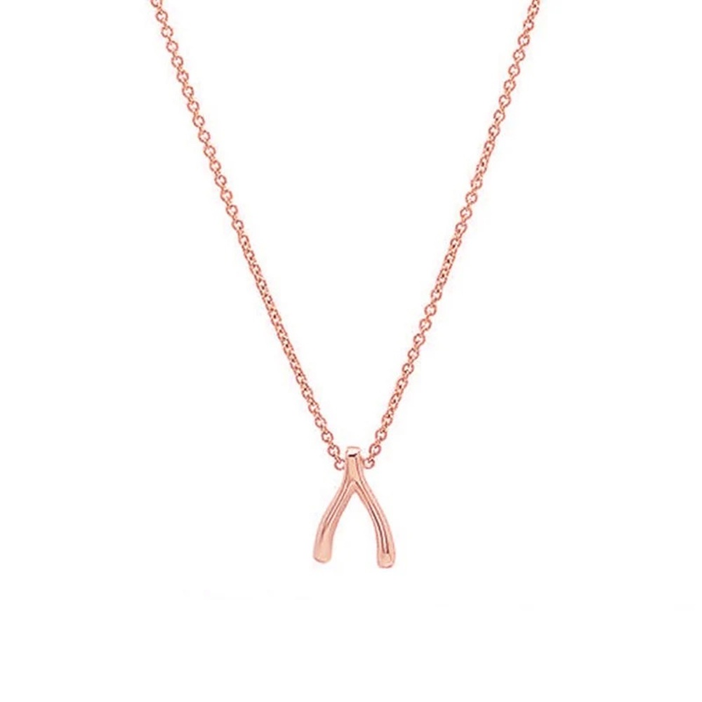 Jennifer Mayer Mini Wishbone Necklace
